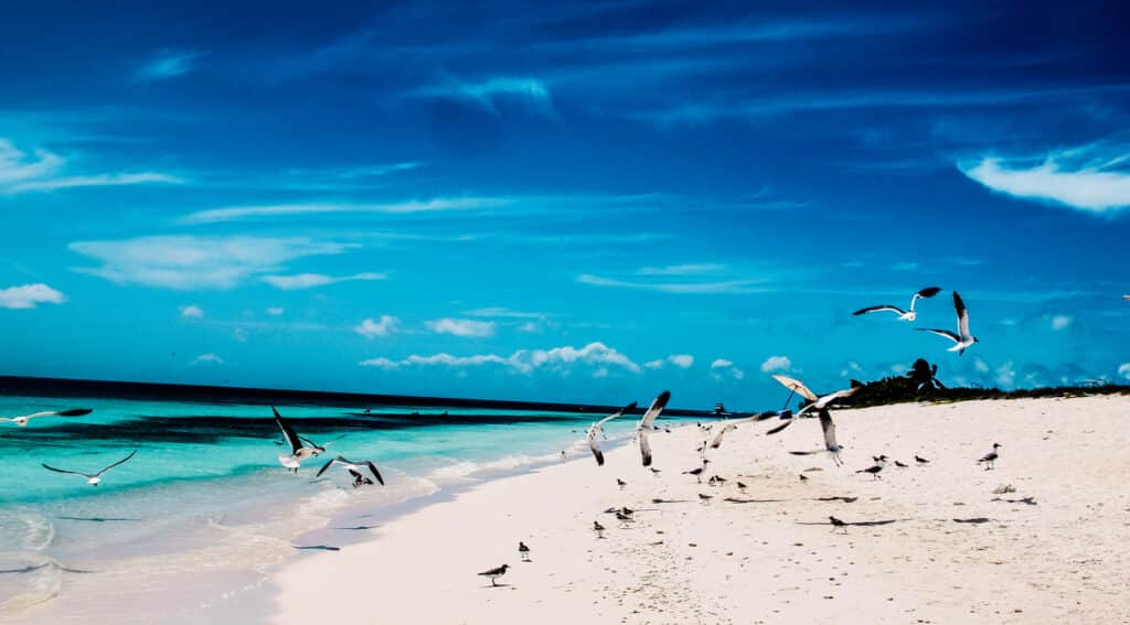 Los Roques, Venezuela, Areia, Céu, Caribe