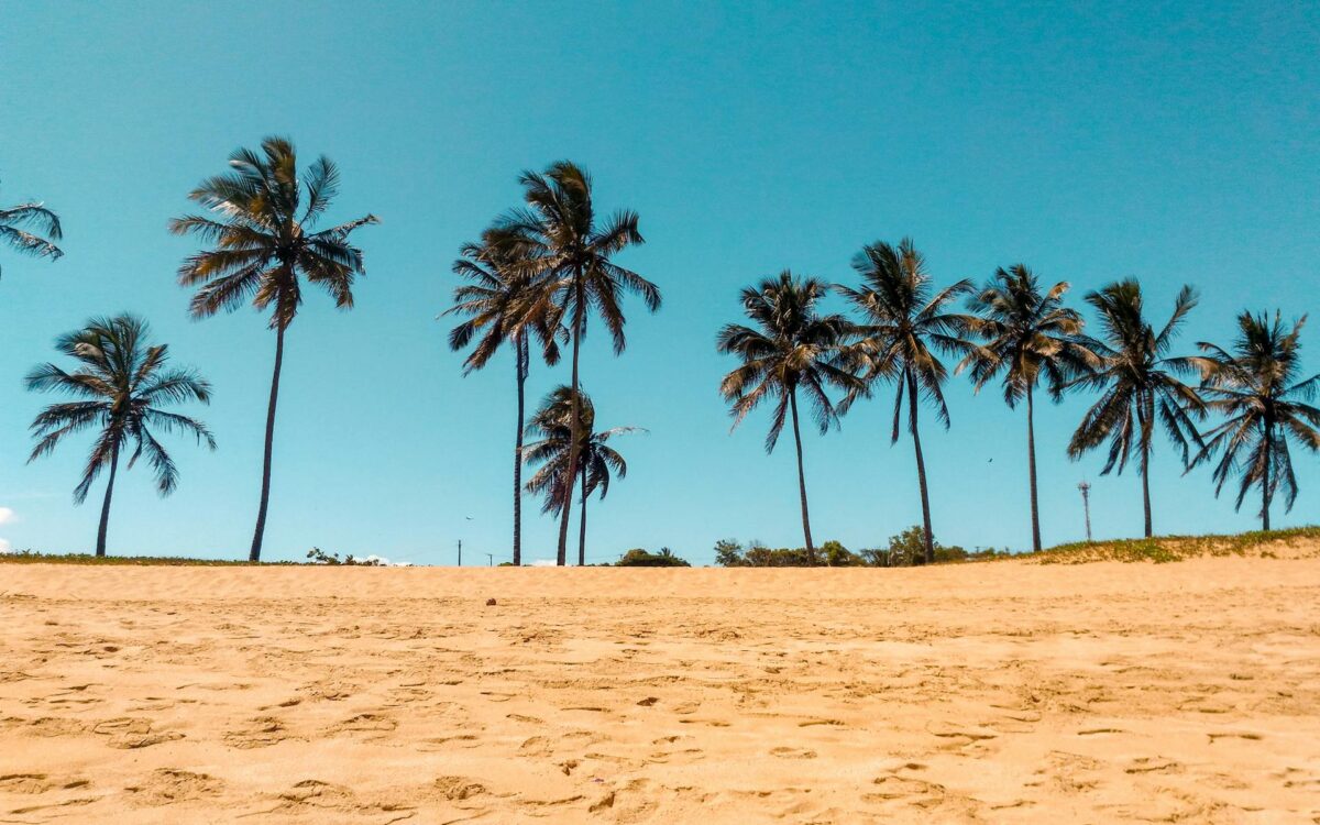 Praia brasileira com coqueiros e areia clara, destino ideal para viajar no verão e fugir do calor