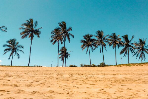 Praia brasileira com coqueiros e areia clara, destino ideal para viajar no verão e fugir do calor