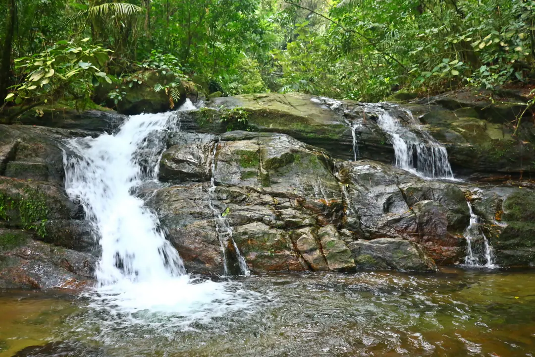 Cachoeira das Andorinhas, Petrópolis (RJ)