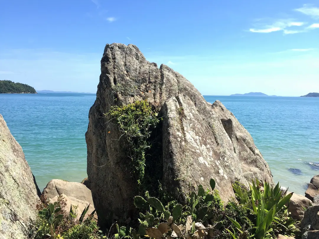 Costão entre Canasvieiras e Canajurê, Florianópolis (SC)