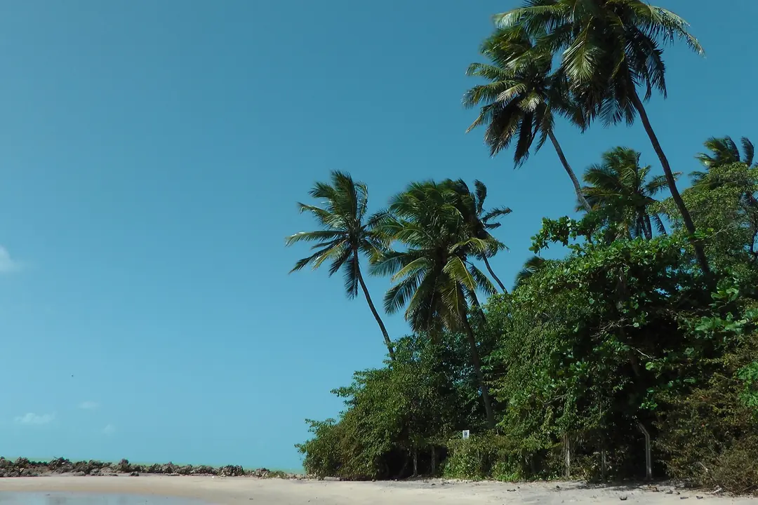 Praia do Coqueirinho, Conde
