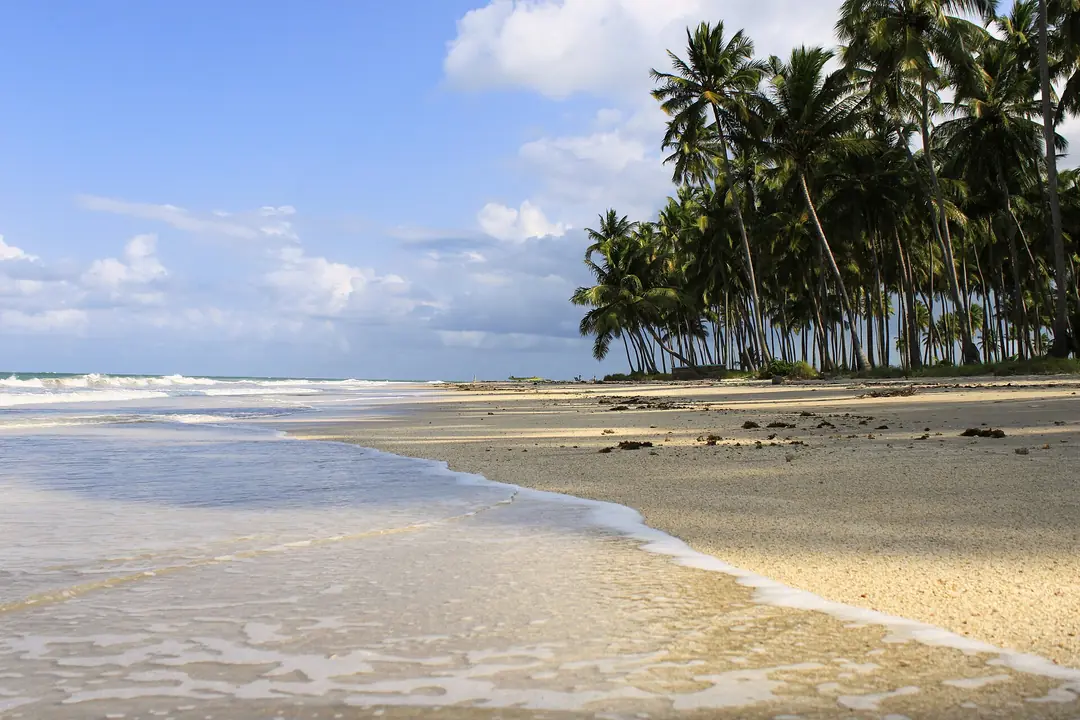 Praia dos Carneiros, Pernambuco